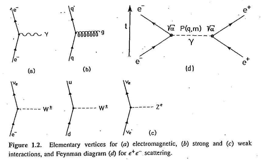 Feynman diagram primary vertices for electromagnetic, weak, and strong interactions