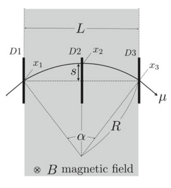 MomentumMeasurement